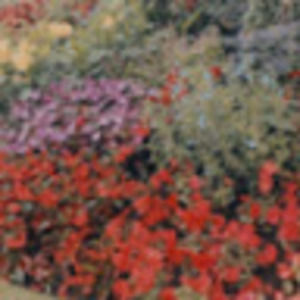 Meet your Posher, Aditi